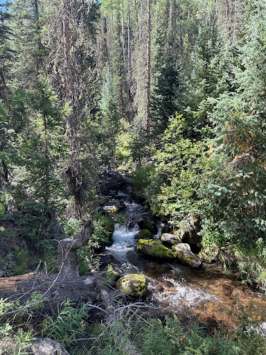 Ivy Creek Campground and Trailhead - Thumbnail