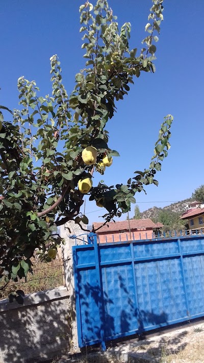 Photos of &Ccedil;ubuklu K&ouml;y Konağı