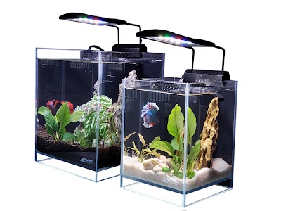 Lifegard Aquatics