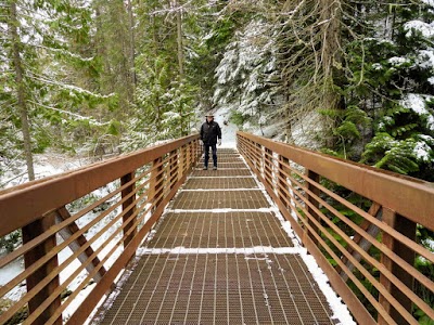 Myrtle Falls Trail