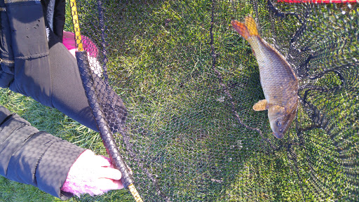 Short Ferry Angling - Thumbnail
