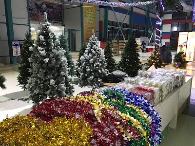 Photos of Novogodniye Yelki V Bishkeke