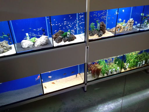AgriPetGarden - Visual