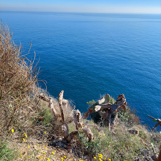 Mare Meva - Visual