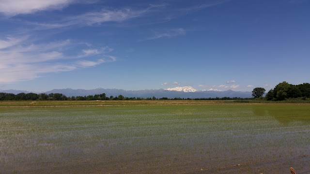 Torrente Cervo