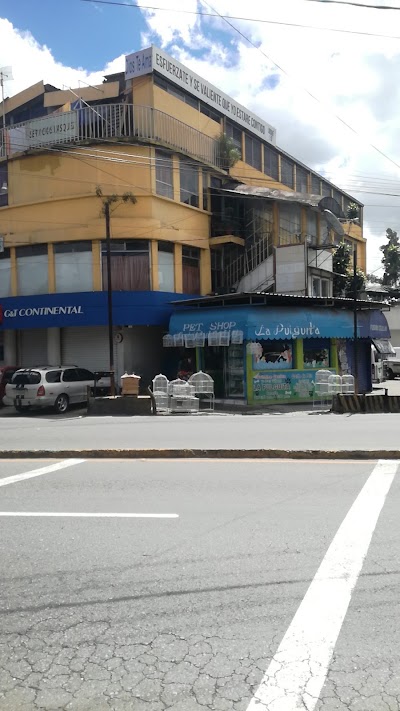 Photos of HOTEL ATLANTIDA