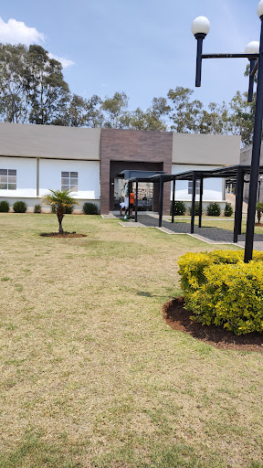 Antares Salón y Jardín