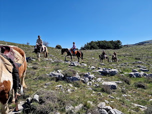 Photo n°38 de Lou Pitchoun Cavaou à Caussols (Service de tours de poneys)