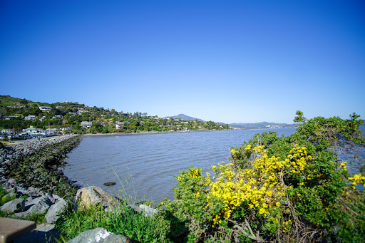 Tiburon Yacht Club - Thumbnail