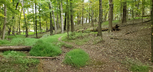 Butler Road Natural Area - Thumbnail
