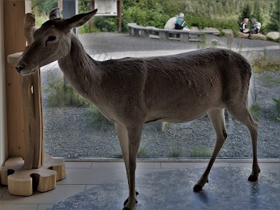 Photos of National Park Visitor Centre TorfHaus
