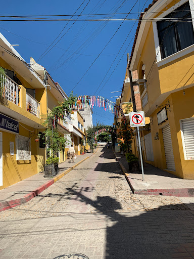 Ocosinco - Visual