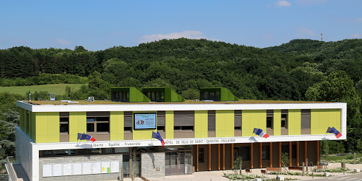 Mayor of Saint-Quentin-Fallavier