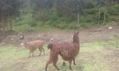 Photos of FINCA TIERRA DORADA