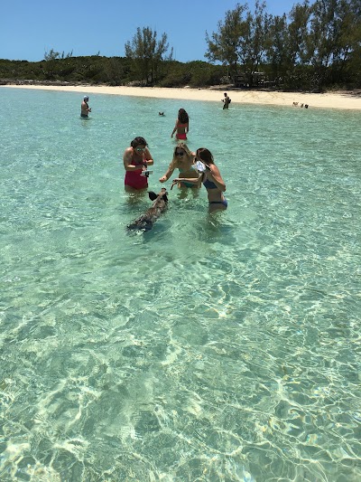 Photos of Capt. Kid & Son Charters