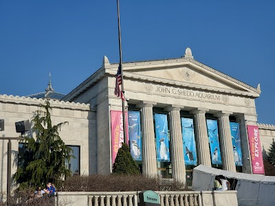 Shedd Aquarium