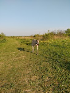 Lime Kiln Way Open Space salisbury