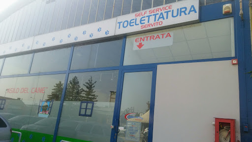 Wash Pets Benfatto - Toelettatura Per Cani E Gatti