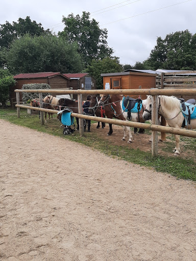 Equestrian Center De La Meilleraie - Thumbnail