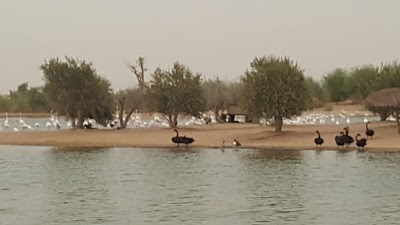 Photos of Qudra Lakes