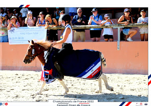 Photo n°13 de Centre équestre des Tilleuls à Villiers-Adam (Siège social)
