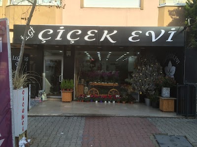 Ilgi Cicekevi