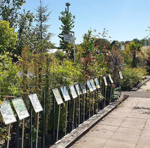 Photo de Del Paysage - Piscine Magiline Marboué à Saint-Denis-les-Ponts (28200)