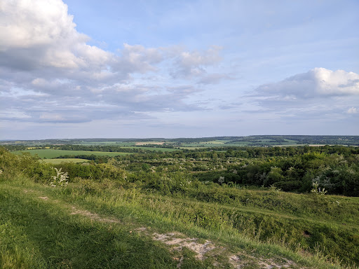 Stockbridge Down - Visual