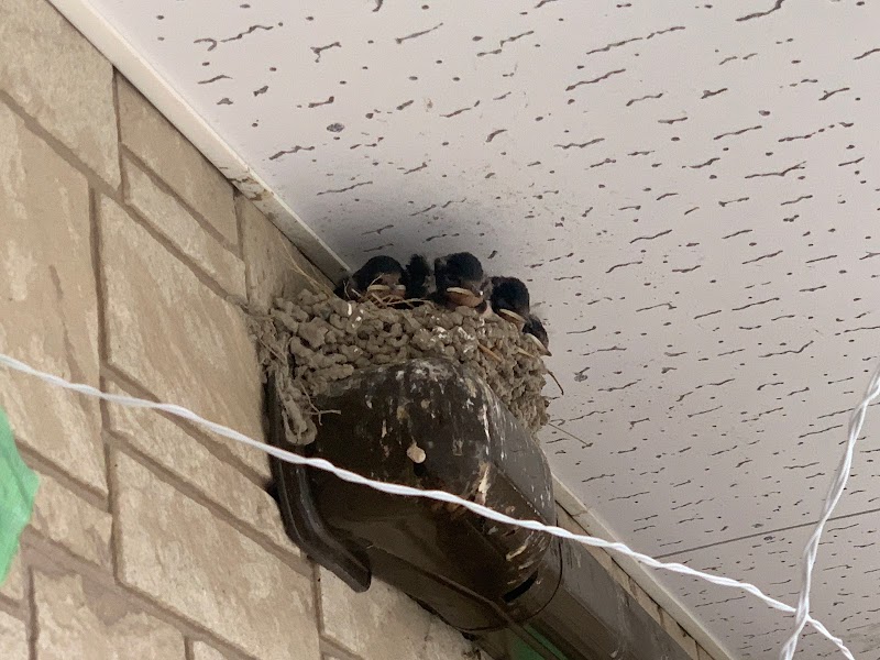 （株）イイアス