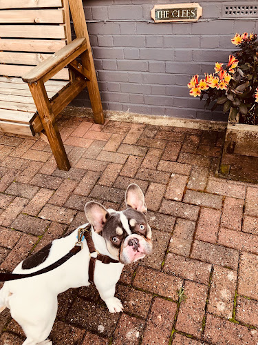 The Clees Dog Services