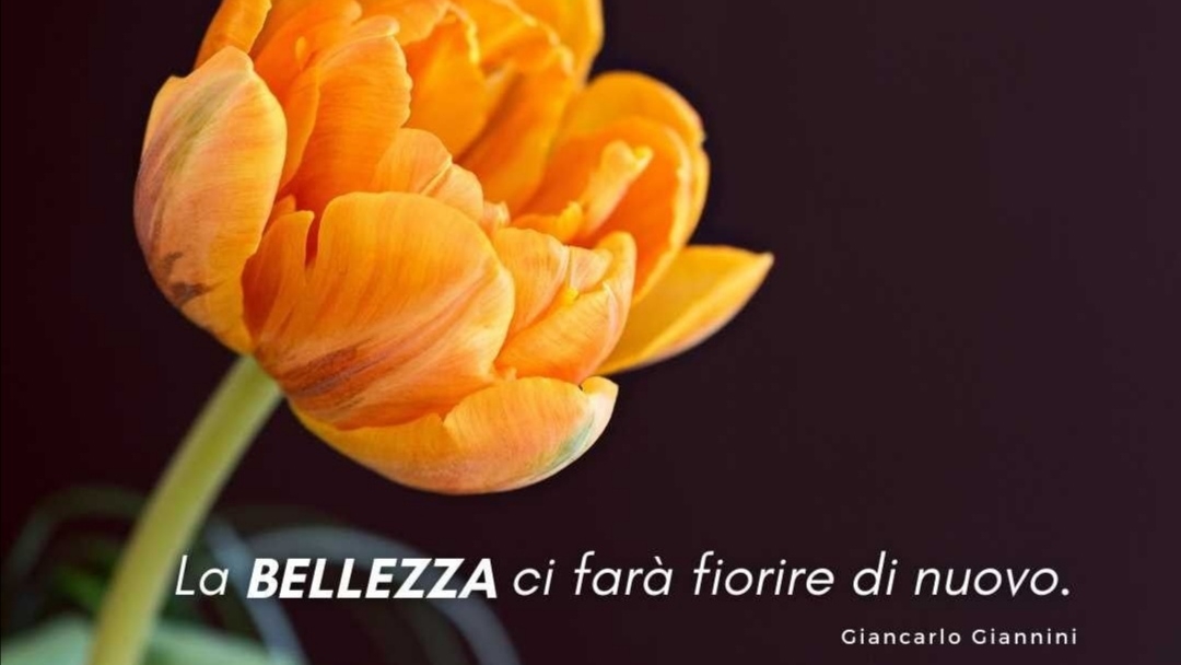 Beauty Première Casatenovo 16