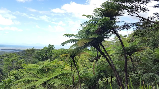 Wavelength Reef Cruises