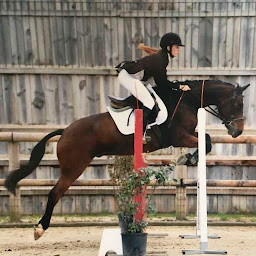 Photo n°10 de Écurie Fantagaro - AHETZE à Ahetze (Éleveur de chevaux)