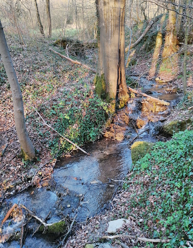 Kalktuffbach - Visual