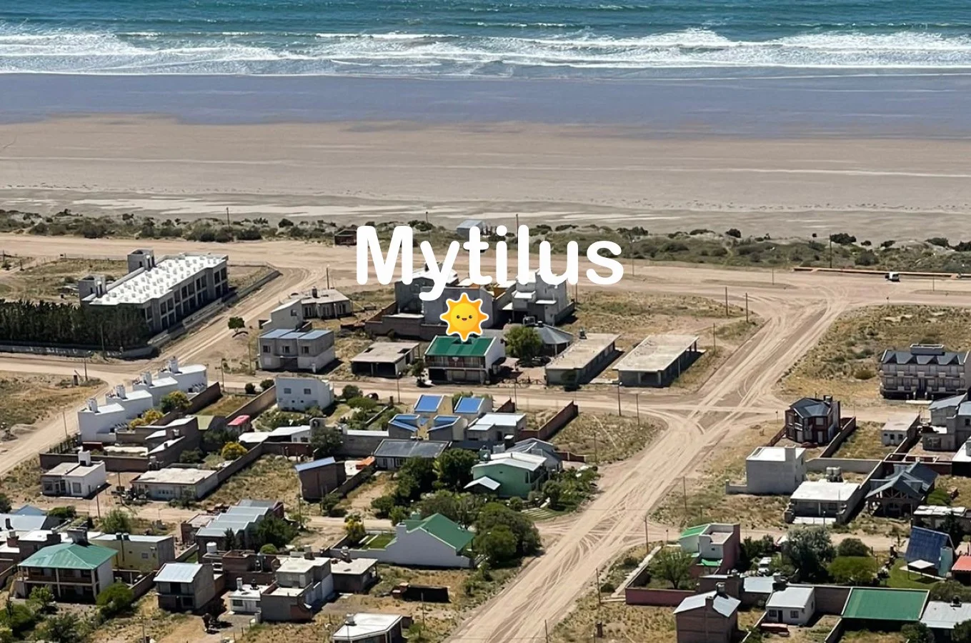 Mytilus