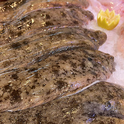 Photo n°137 de Pierrot Coquillages Kiosque, Restaurant, Livraison de fruits de mer & Poissons à Marseille (Marché aux poissons et fruits de mer)