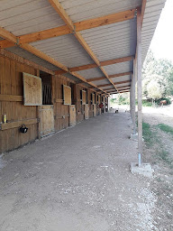 Photo n°3 de Centre Equestre de Neuvic sur l'isle à Neuvic (Centre équestre)