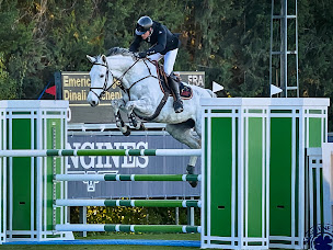 Photo n°1 de Haras Treize à Saintines (Éleveur de chevaux)
