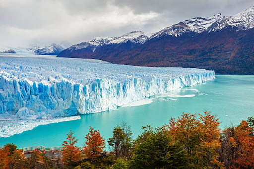Patagonia Experience