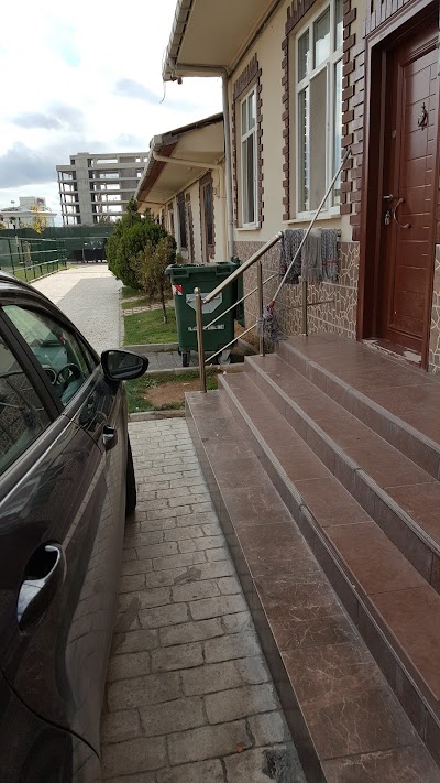 Photos of Maltepe Municipality Veterinary Affairs Directorate