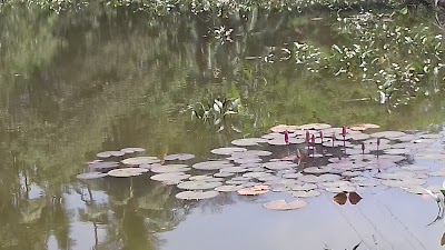 Photos of Maththegoda Walking Path