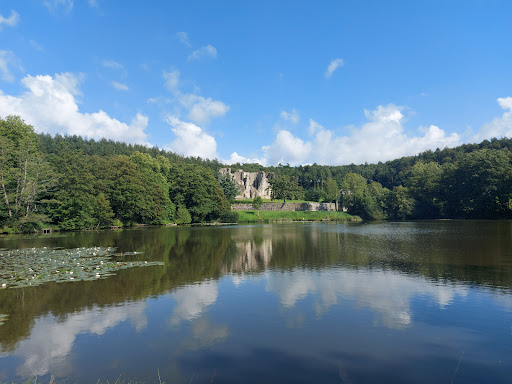 Tisbury - Visual