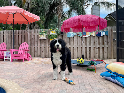 Woof Gang Bakery & Grooming Nocatee