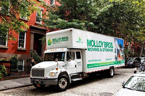 Molloy Moving & Storage - Thumbnail