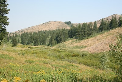 West Fork Mink Creek Trailhead