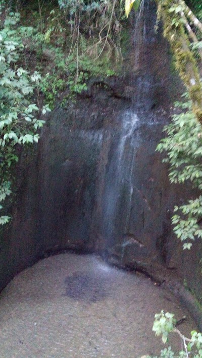 Photos of Parque Ecologico Paxan