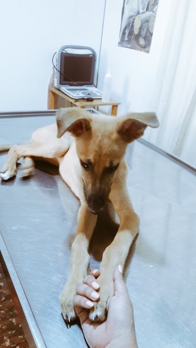 Photos of Veterinaria Planeta A