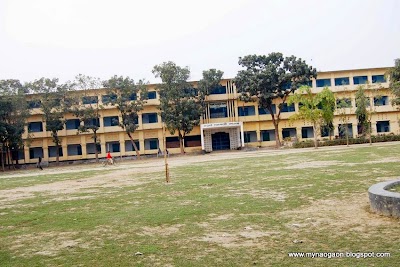 university