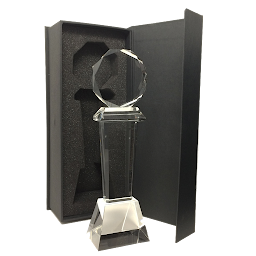 Photo n°4 de Trophées en verre à Le Mesnil-le-Roi (Magasin de trophées)