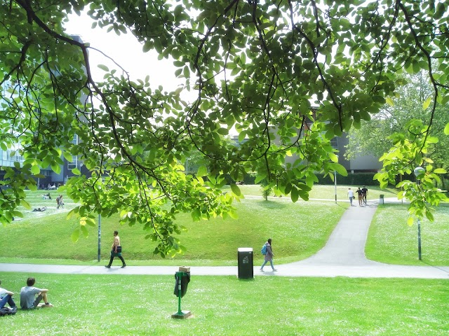 Vrije Universiteit Brussel